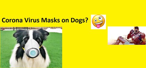 Corona Virus Masks On Dogs?
