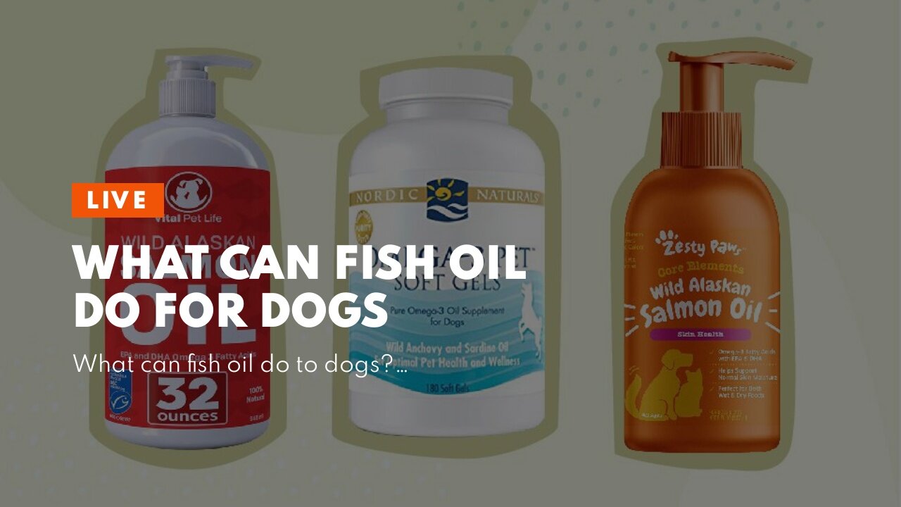 What can fish oil do for dogs