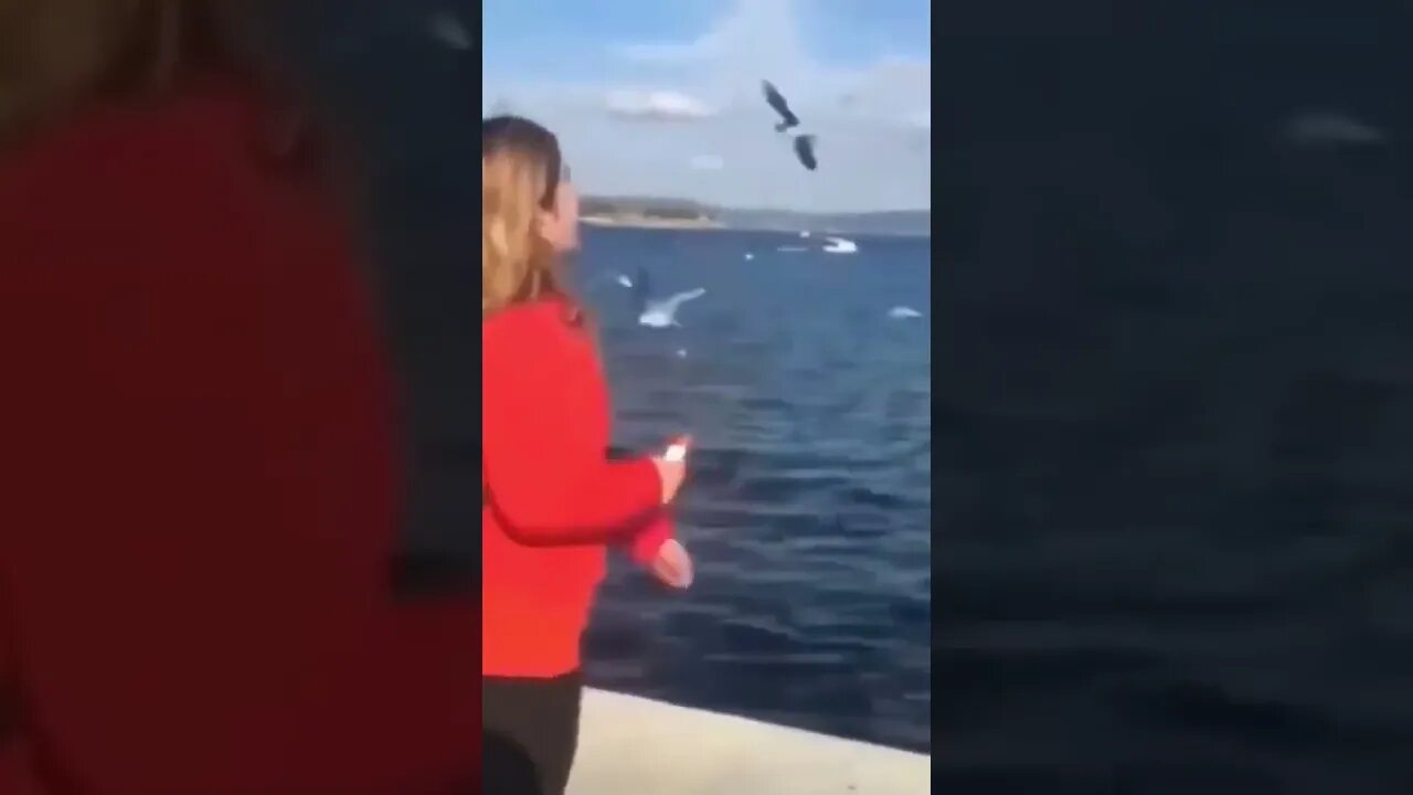 perdendo o celular #shorts #short