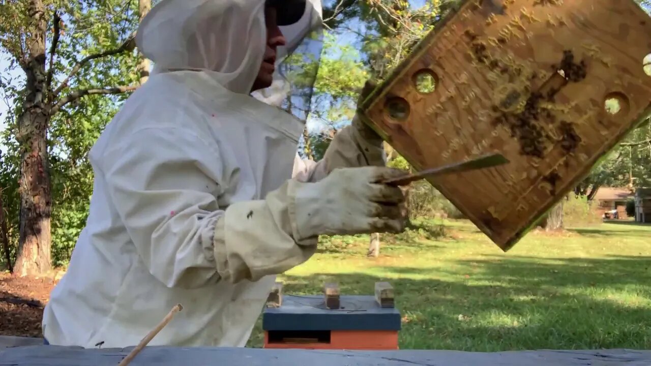 Oct 13, 2019 - Final Honey Removal of 2019