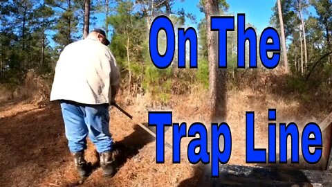 The First Check of 2020-2021 Trap Line