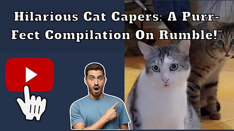 Hilarious Cat Capers: A Purr-fect Compilation on Rumble!"