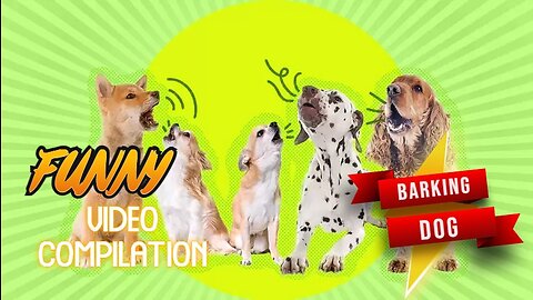 TOP 10 dog barking videos BEST compilation ♥ Dog barking sound - Funny dogs