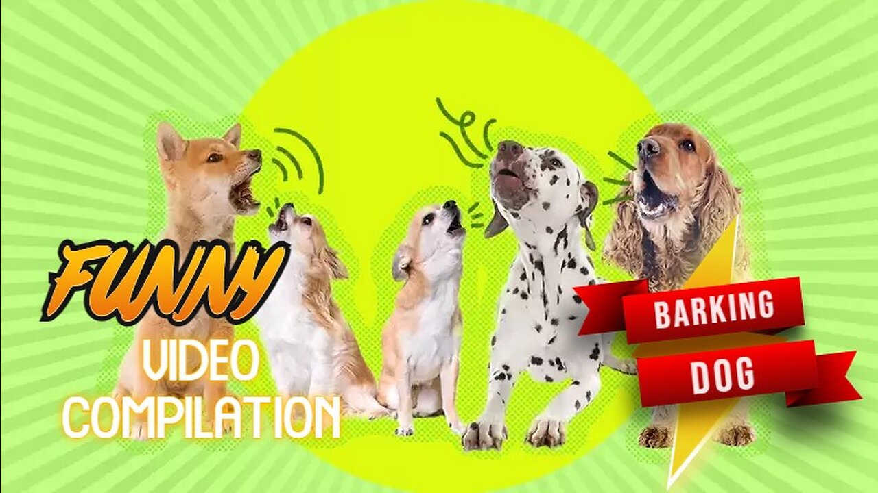 TOP 10 dog barking videos BEST compilation ♥ Dog barking sound - Funny dogs