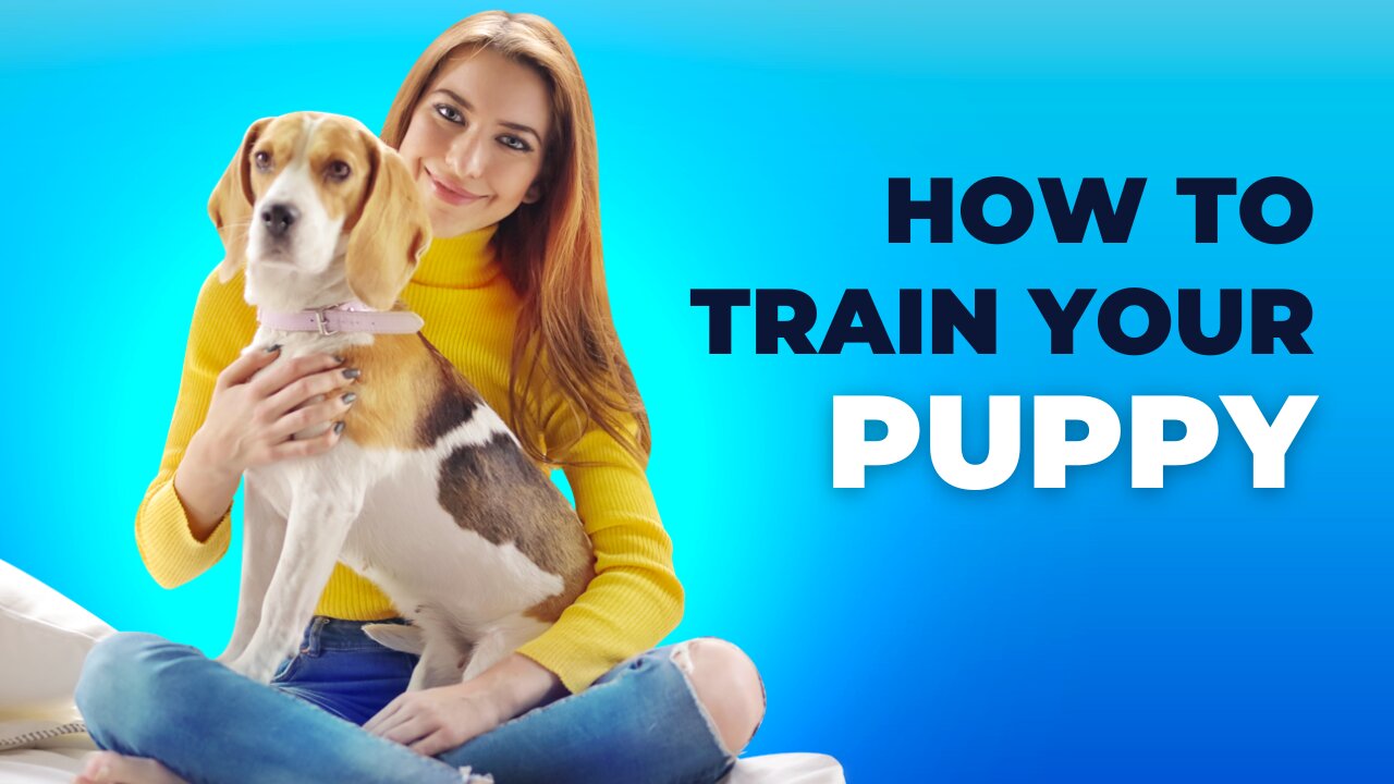 Guard Dog Training Step by Step! Pets, Animales