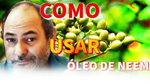 Minha transmissão🔴como usar- óleo de neem para que serve 👈