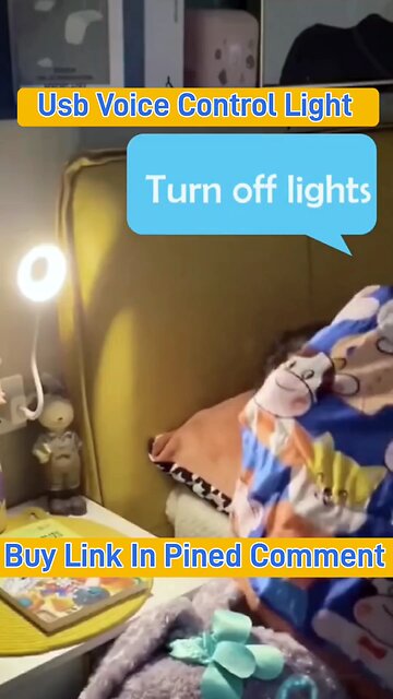 USB Voice Control Light