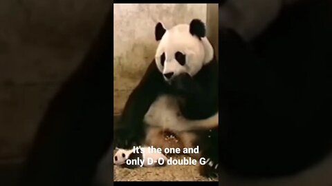 It's the one and only D-O double G #shorts