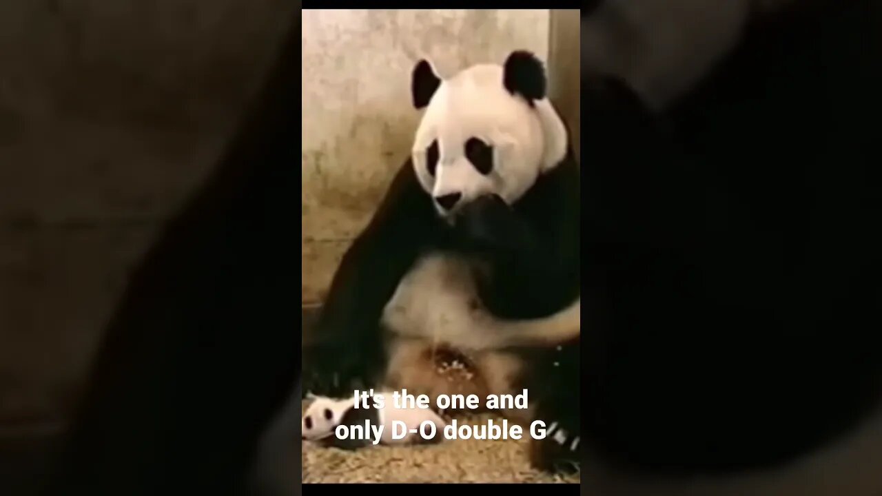 It's the one and only D-O double G #shorts