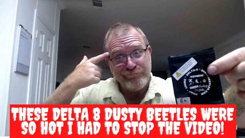 These Delta 8 Dusty Beetles Were So HOT I Had To Stop The Video!