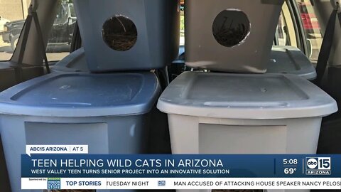 High schooler builds winter dens for northern AZ wild cats