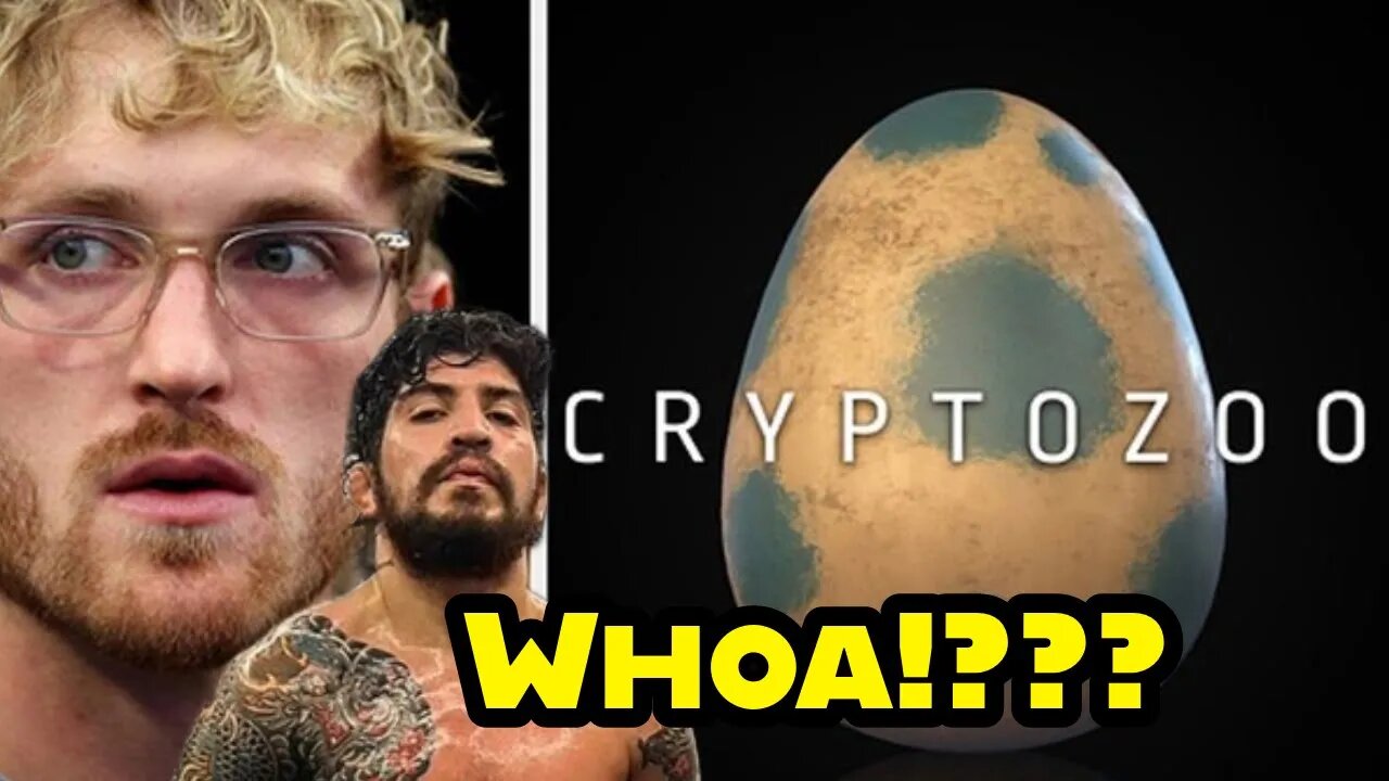 Logan Paul CryptoZoo Super Low Settlement? But Dillon Danis is the Bad Guy?