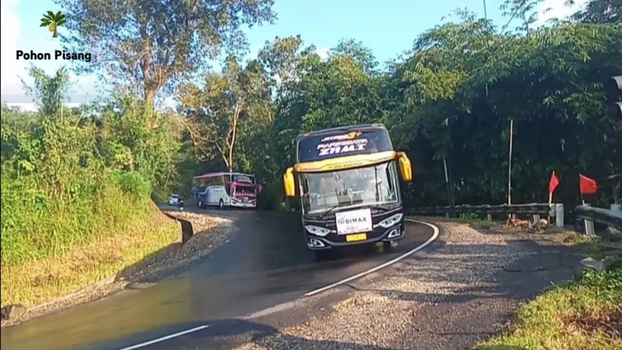 Bus Telolet Oleng Konvoi Sangat Panjang