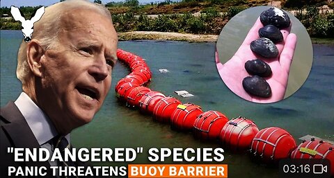 Traitor Joe Tries Snail Darter Ploy To Bring Down Buoy Barrier | VDARE VIDEO BULLETIN