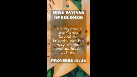 Proverbs 12:26 | Wise Sayings of Solomon