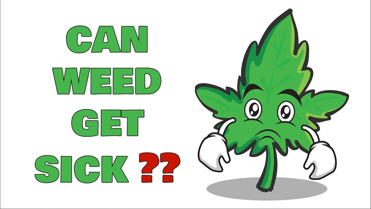 Can Weed Get Sick?