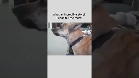 What an incredible story! Please tell me more!