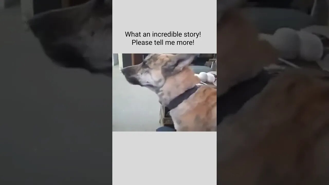 What an incredible story! Please tell me more!