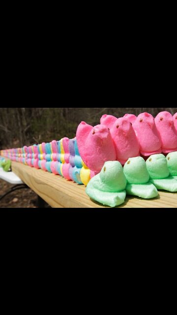 How Many Peeps Can A 50 Cal Go Through #Shorts