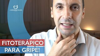 Conheça Um dos Melhores Fitoterápicos para Gripe