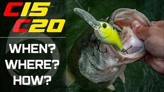 A deep diving CRANKBAIT that gets fish FIRED UP