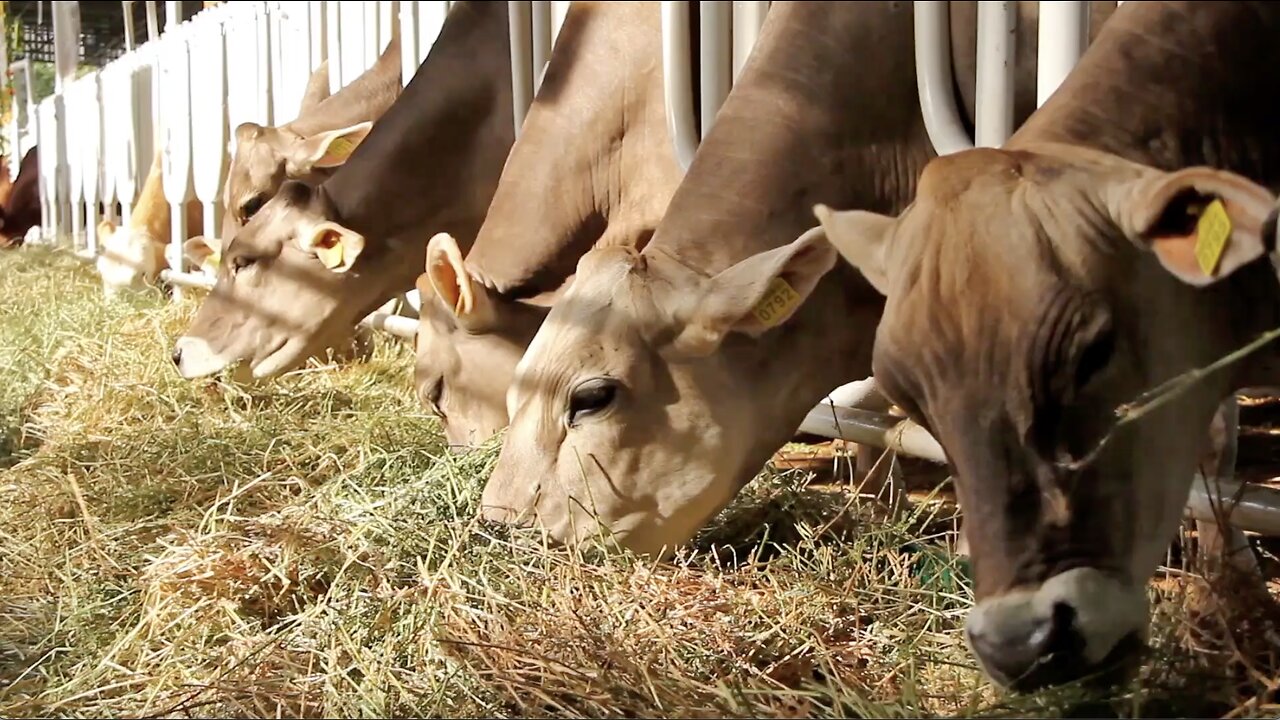 Farmers Will Lose It When They Read This!