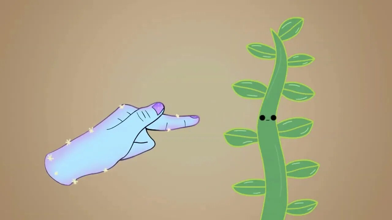 Vine Boop