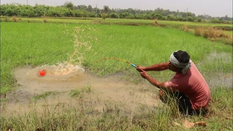 Fishing Video🎣 || Traditional boy fishing in village field using proper food || 2022 Hook Fishing