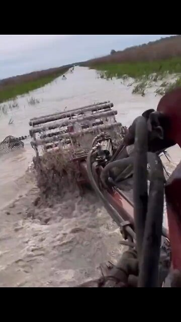 Yikes. Careful where you go.