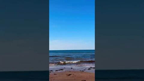 Running to the beach