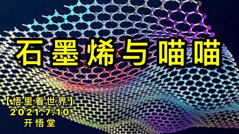 KWT2077石墨烯与喵喵20210710-8【悟里看世界】