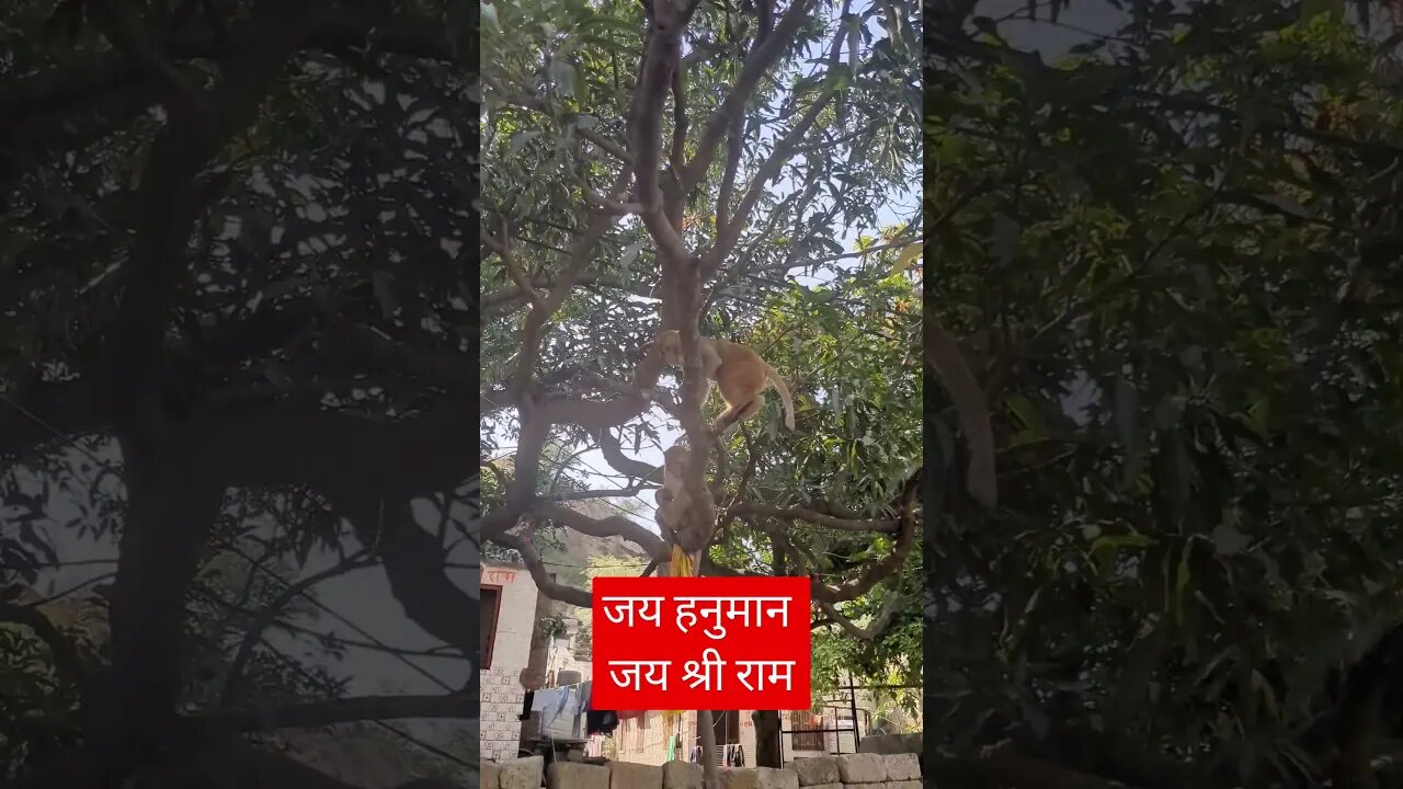जय हनुमान जय श्री राम 🙏