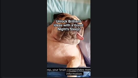 Unlock Brilliant Ideas with a Good Night's Sleep!
