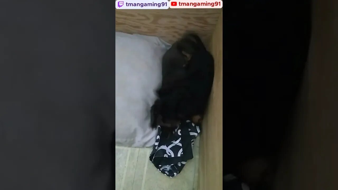 Iris Beating Up Her Brother