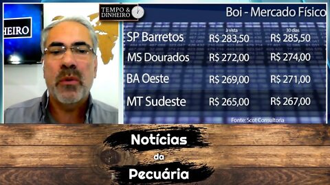 Boi gordo volta do feriado em SP com R$2,00 + arroba por falta de oferta