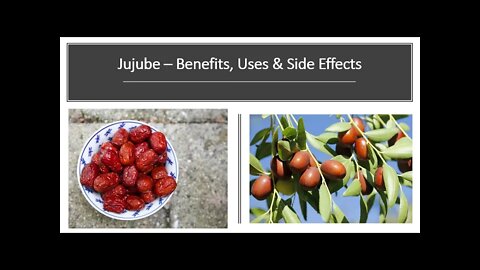 Jujube Benefits, Uses & Side Effects