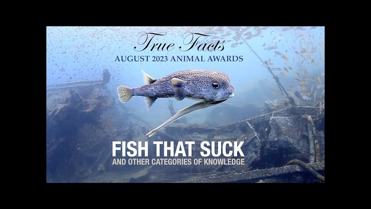 True Facts: Fish That Suck #FISH