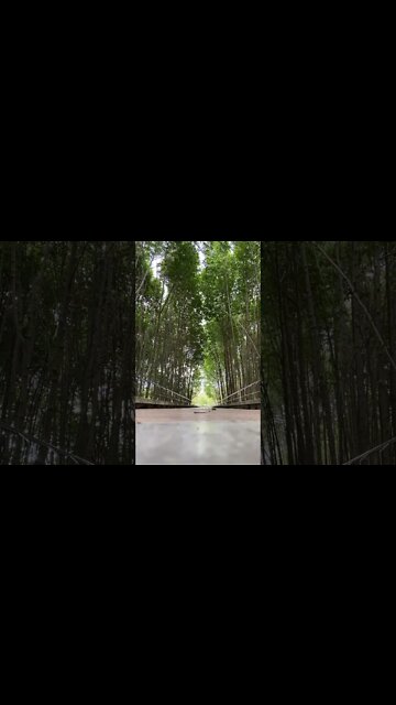 Beautiful park In Phuket 😍