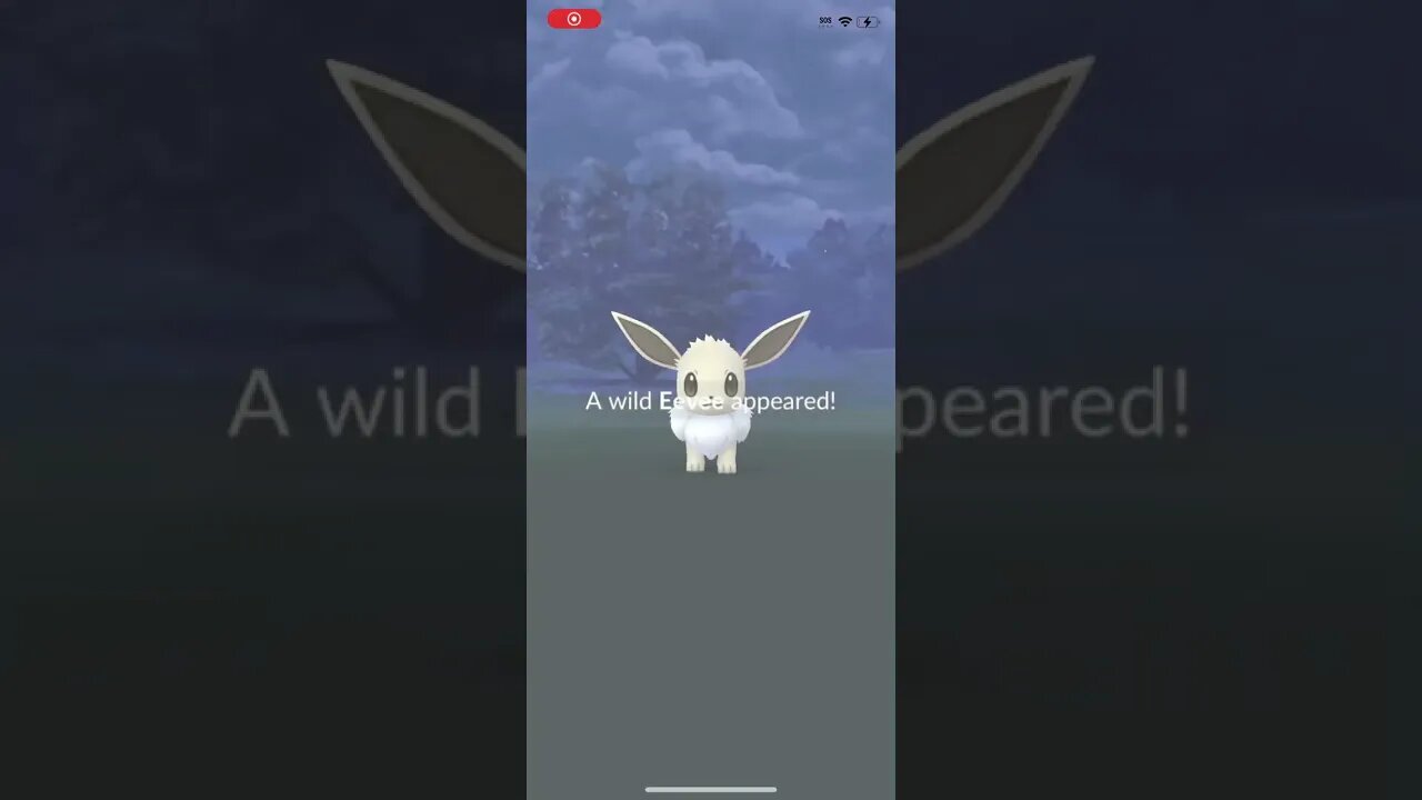 Shiny Eevee