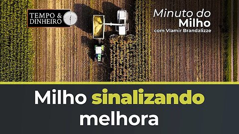 Milho sinalizando melhora nos portos