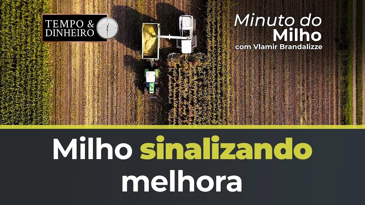 Milho sinalizando melhora nos portos