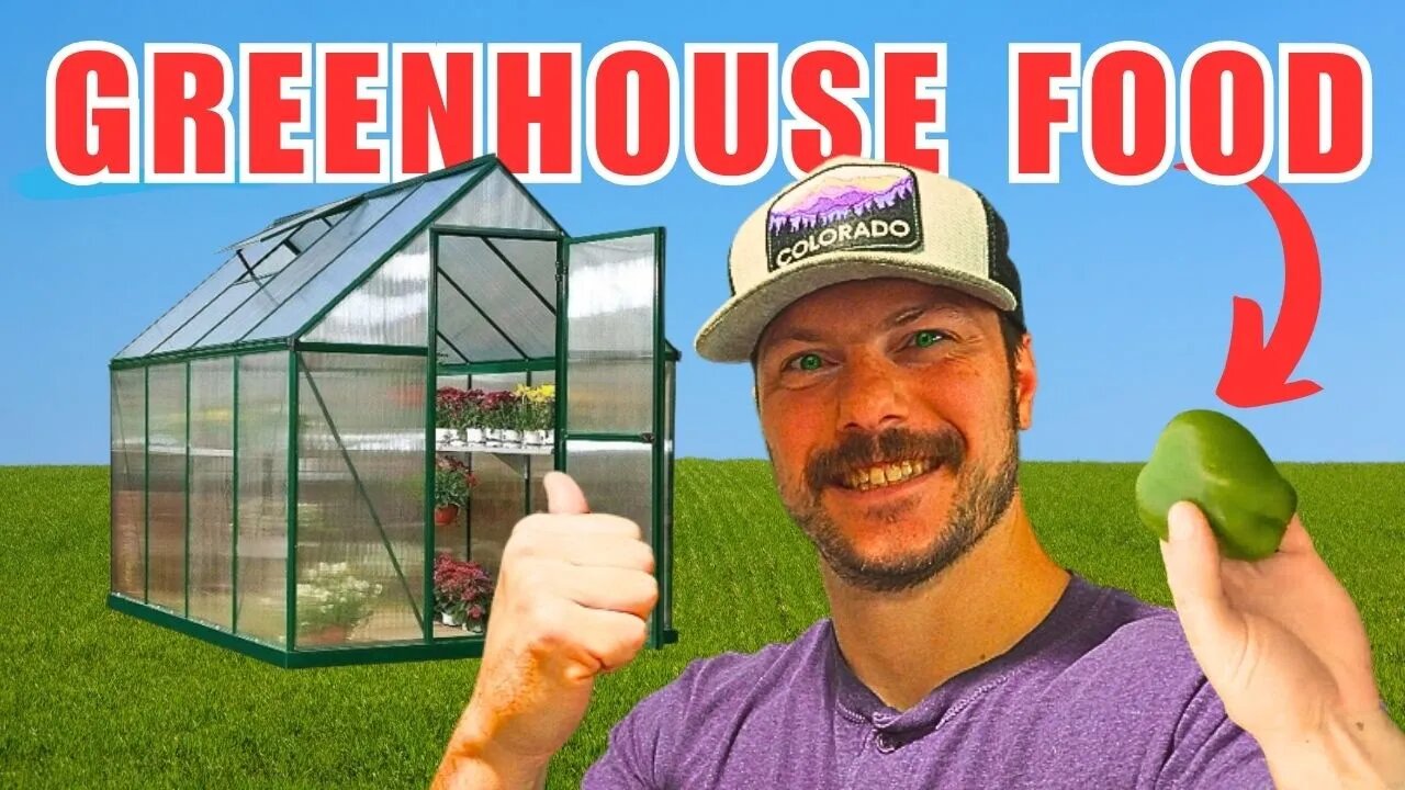 We Grew Food in a Greenhouse