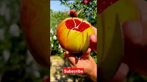 Relaxing video #shorts