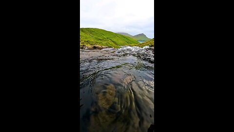 underwater viwes