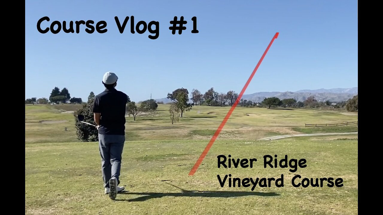 Course Vlog #1