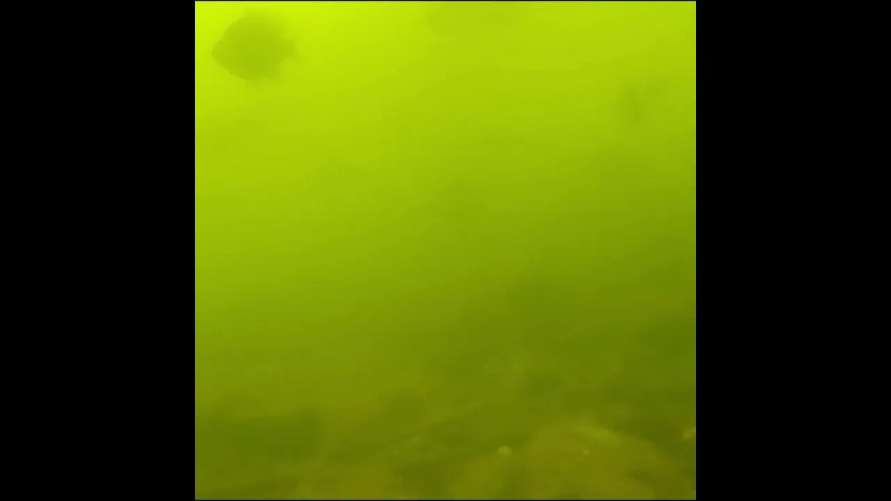 20 feet deep in the Tennessee river