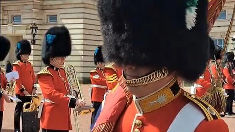 King's guard said good morning to tourist Through the fence. #buckinghampalace