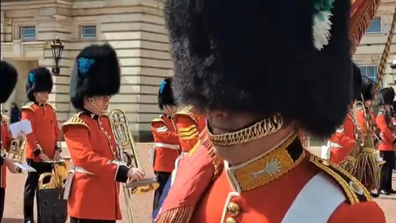 King's guard said good morning to tourist Through the fence. #buckinghampalace