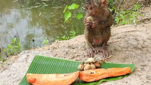 Oh My Goodness! baby kley rises from the ground to eat-1