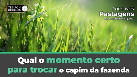 Foco nas Pastagens explica o momento certo para trocar o capim da fazenda